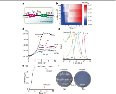 Fig. 2 Validation of the control module of the EXT circuit.control module at different induction times.(module responses to different L-arabinose concentrations at the population level (of I- a Schematic of the control module of the EXIT circuit constructe