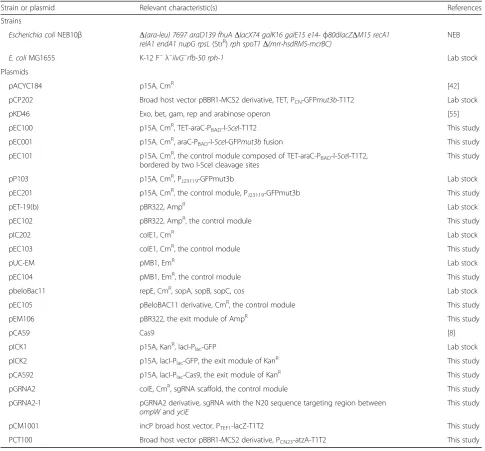 Table 1 Bacterial strains and plasmids used in this study