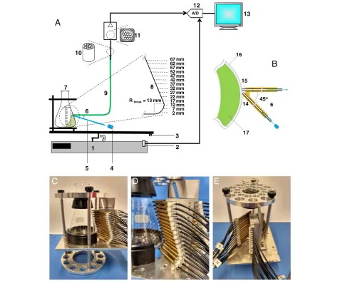 Figure 1a and b show schematic diagrams of the meas-