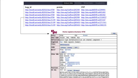 Figure 9 SPARQL Galaxy. This query takes as input the merged output of all the SADI services and finds the proteins that are encoded by a KEGGgene and are related to SNPs, to produce the results shown in Figure 10.