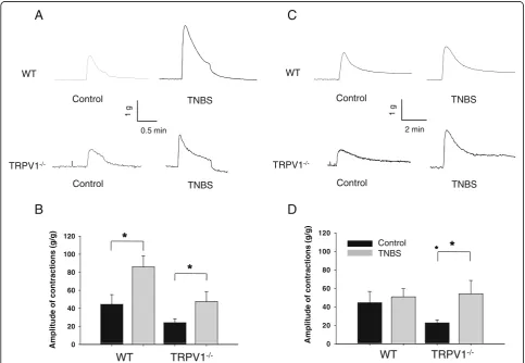 Figure 3B).A