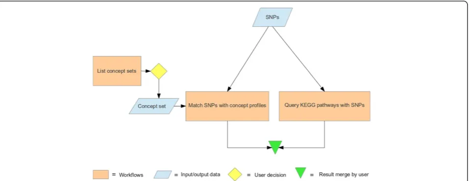 Figure 3 Workflow sketch. A workflow sketch showing that our experiment follows two paths to interpret genome wide association studyresults: matching with concept profiles and matching with KEGG pathways.