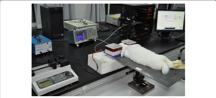 Fig. 3 Experimental setup