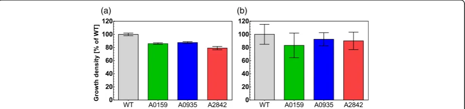 Fig. 4 Growth densities of Synechococcus sp. PCC 7002 wildtype and A0159, A0935 and A2842 strains