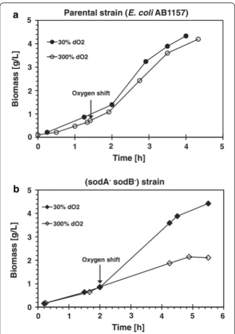 Fig. 6 Effects of dissolved oxygen shift on growth of from [a E. coli AB1157 and b SOD deficient mutant