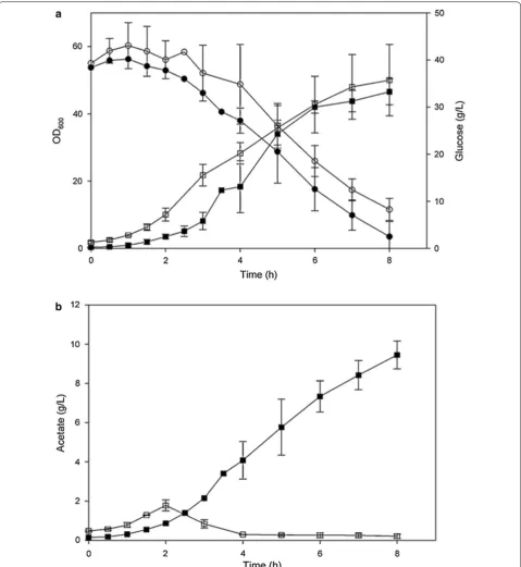 Fig. 2 Growth, glucose consumption and acetate production in E. coli K-12(MG1655) and E