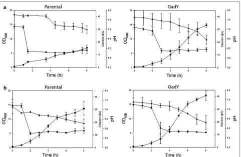 Fig. 4 Cell growth parameters of E. coli K-12 MG1655 parental and GadY strains growing in bioreactor at pH 6.0