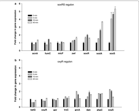 Fig. 5 Time course expression of selected genes controlled by SoxRS and OxyR regulons during SoxRS controlled genes, represent standard deviations between triplicate analyses (Taken from [E