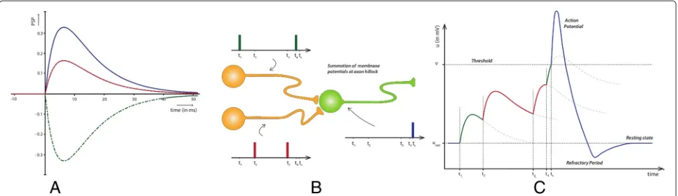 Figure 2 Membrane potential dynamics of a single neuron with simplified membrane model.potential surpasses threshold and neuron fires a postsynaptic spike