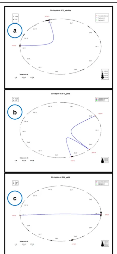 Fig. 5 Epistatic interaction network between SNP marker loci. a STIfor sterility (b). STI for yield (c)