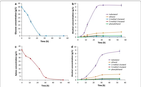 Fig. 3 Fermentation of a glucose and xylose mixture by E. coli BLF2. a Time‑dependent glucose and xylose concentrations during the mixed sugar fermentation