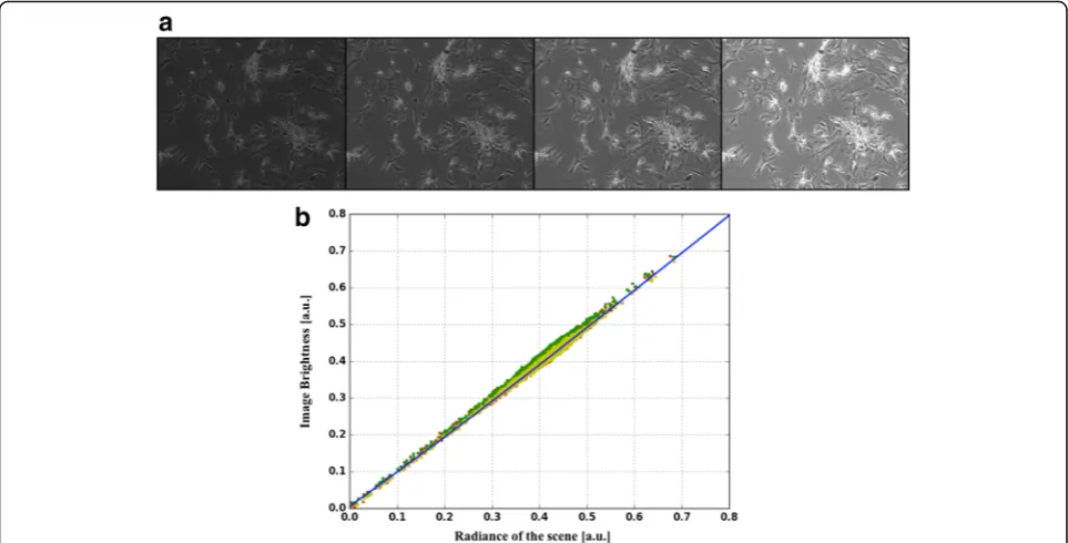 Fig. 4 Exemplification of the main steps of the segmentation algorithm. The leftmost image results from the pre-elaboration phase