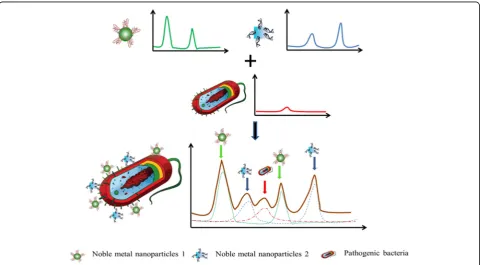 Fig. 2 Schematic of Multiplex self-referencing pathogen recognition using SERS molecular probes