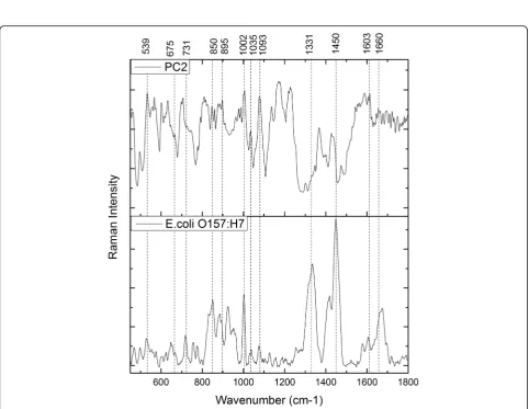 Fig. 5 The first 5 principal component loadings of the PCA performed on the SERS spectra acquired from multiplex antibodies functionalizedNanoprobes conjugating with E.coli O157: H7 bacteria sample