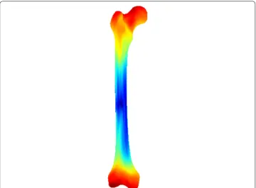 Fig. 4 3D visualization of the shape variation on the surface for the constructed femur shape model