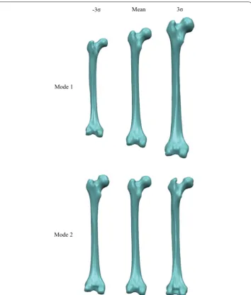 Fig. 5 The first two principal modes of variation for the constructed femur shape model