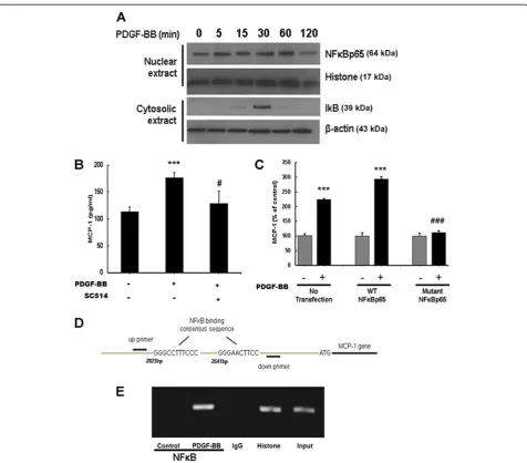 Figure 6 Platelet-derived growth factor (PDGF)-BB-mediated induction of monocyte chemoattractant protein 1 (MCP-1) expressionregion of MCP-1