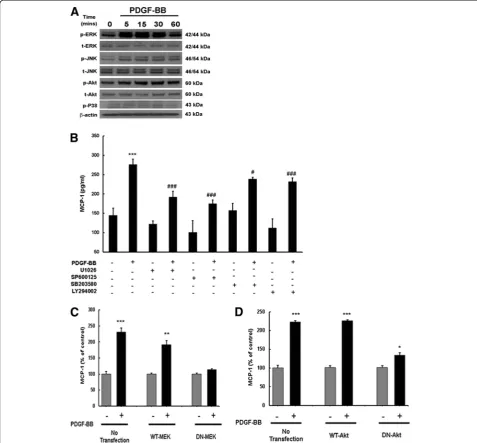 Figure 4 Platelet-derived growth factor (PDGF)-BB-mediated induction of monocyte chemoattractant protein 1 (MCP-1) expressionpresented as mean ± SD of three individual experiments