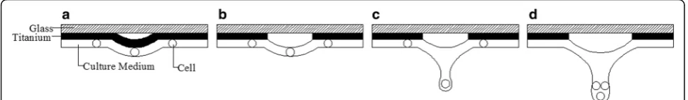 Fig. 11 The types of jet formation, a bump with titanium partially ablated, b bump with titanium completely ablated, c narrow jet with an individualtarget cell in the consequent droplet, d less control jet with an multiple cells in the consequent droplet