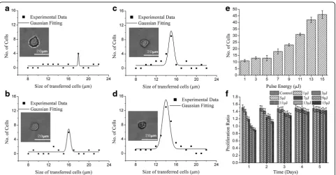 Fig. 2 The size distribution and proliferation ration of the untreated cell a) the size distribution of the sample cells, b) the proliferation ratio ofthe sample cells