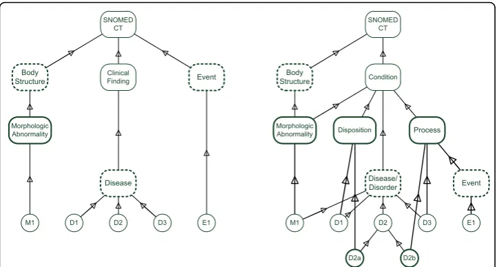 Figure 2 SNOMED CT redesign according to the SDP modeling approach. Peculiar SNOMED CT conceptsare also subsumed byCurrent SNOMED CT hierarchy (simplified)