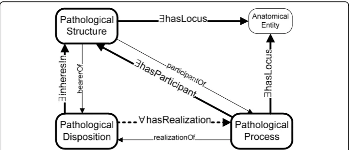 Figure 1 Relations between instances of the classes in the pathological structure–disposition–processtriple