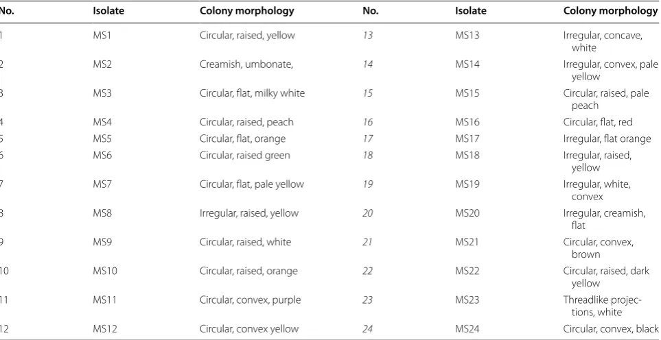 Table 1 Morphological characteristics of the tropical riverbed bacterial isolates