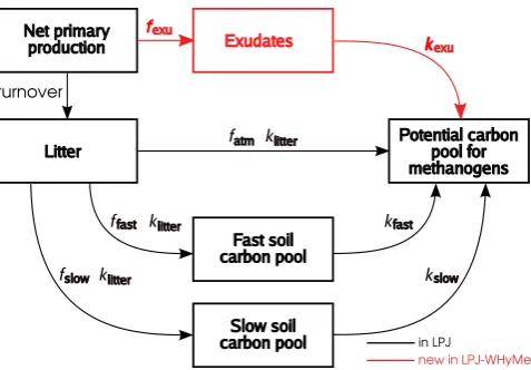 Fig. 1. Decomposition processes in LPJ-WHyMe. The turnoverrate determines the fraction of net primary production converted tolitter