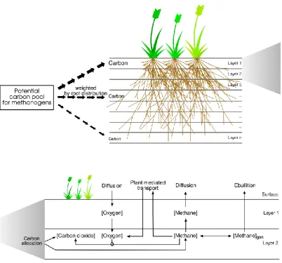 Table 1. Soil carbon cycle parameter values.