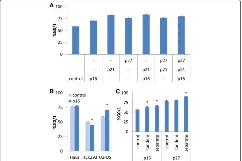 Fig. 2 Impact of experimental parameters on the activity of regulatory nodes for cell cycle control