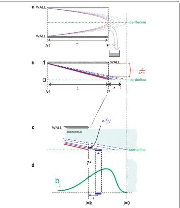 Fig. 4 Schematic representation of the Poiseuille mixing effect, as explained in the text