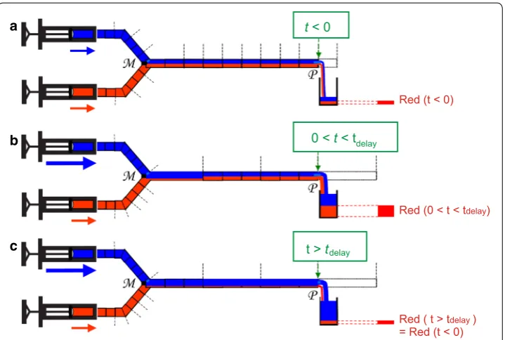 Fig. 2 Schematic, illustrating the “push-out” effect, i.e.: the temporary increase in the outflow of the “red” fluid filled with a “blue” and a “red” solution, respectively, produce the same flow rate, which is constant in time