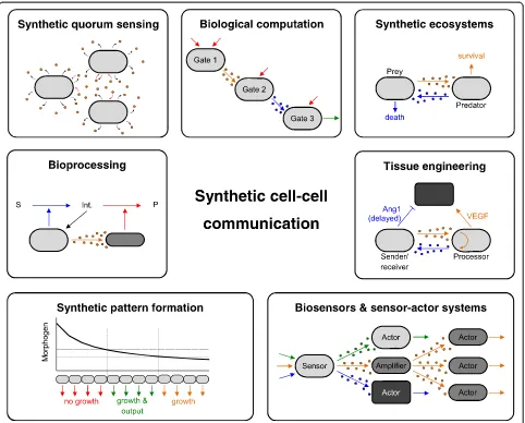 Fig. 1 Applications of artificial cell-cell communication. Engineered cellular communication proved to be beneficial or even mandatory innumerous fields of application
