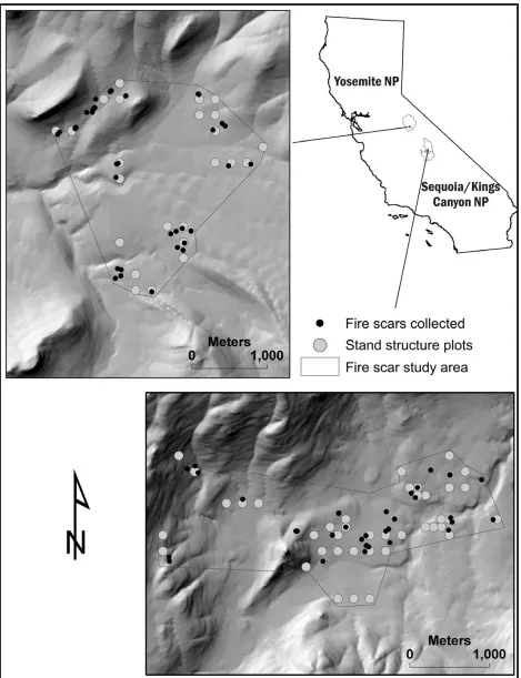 Figure 1.  Fire scar and plot locations in Illilouette Creek basin (upper) and the Sugarloaf Creek basin (lower), California, USA.