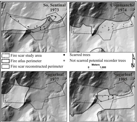 Figure 2.  Tree scarring patterns and perimeters for the five WFU fires that burned in Illilouette Creek basin fire scar study area.