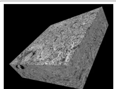 Fig. 12 3D cross-section view of a 40 µm × 40 µm × 8 µm volume of rodent cerebellum collected by SBEM using 3-keV primary beam energy and a −1-keV sample bias to achieve a 2-keV landing energy