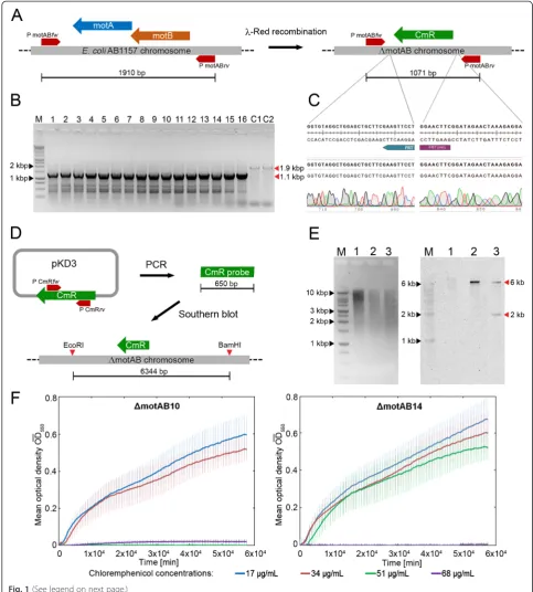 Fig. 1 (See legend on next page.)