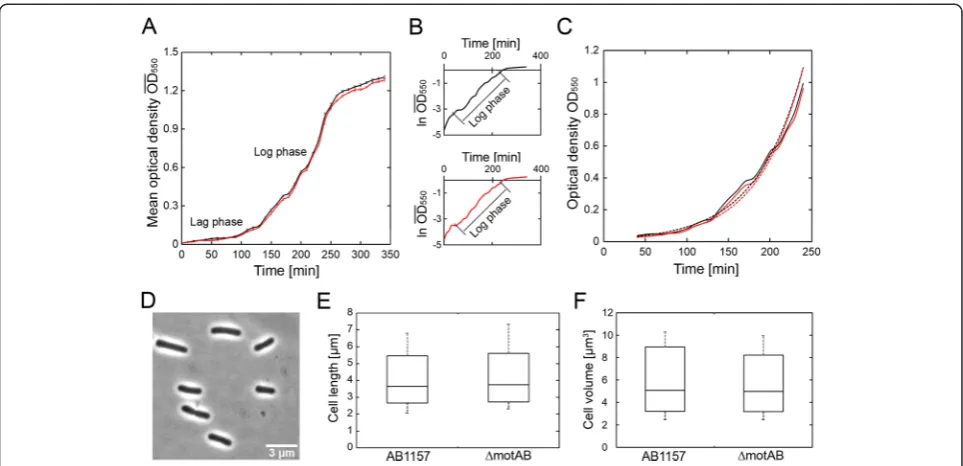 Table 4 “t-test” statistics for two independent samples of AB1157 and ΔmotAB strains’ generation time, cell volume and cell length