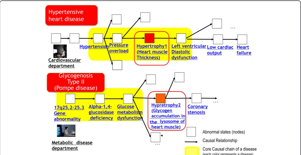 Figure 4 Examples of hypertrophy constituted of causal chains. This figure shows two different uses of cardiac hypertrophy