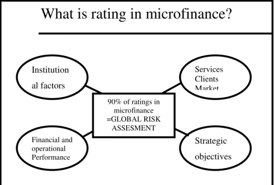 Figure 5.1. Microfinance Rating 