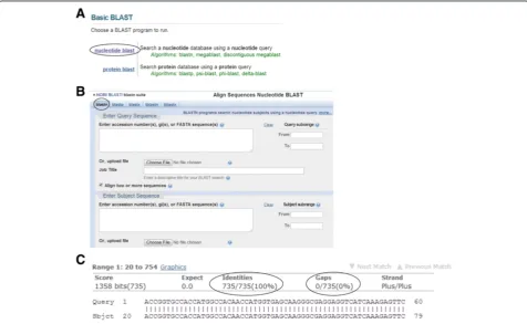 Figure 4 Sequence analysis of the PCR product using the NCBI BLAST platform. (A) On the NCBI BLAST webpage, the “nucleotide blast”option is chosen (marked by the oval line)