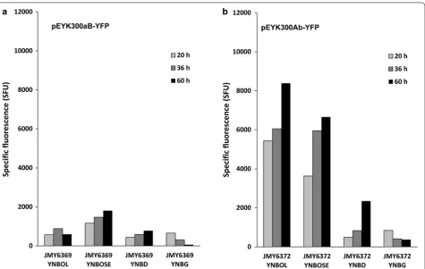 Fig. 6 Time course of YFP fluorescence depending on culture medium for mutated pEYK300 promoter