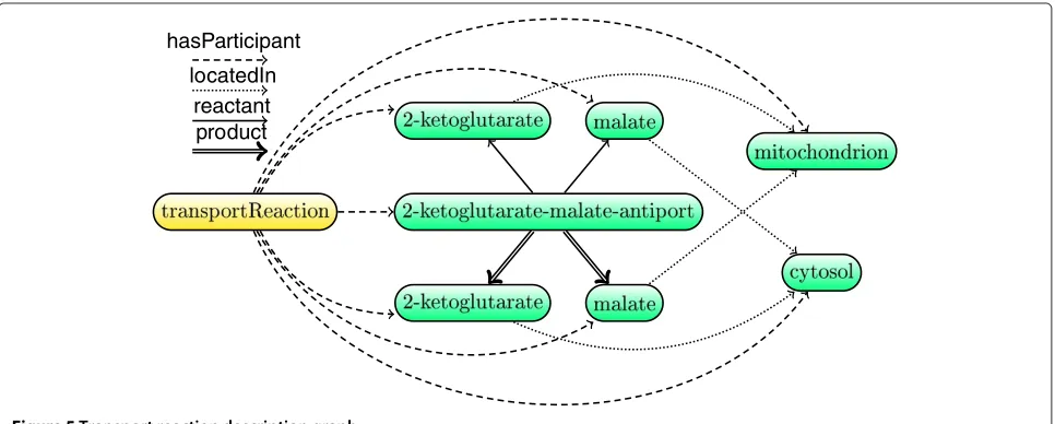 Figure 5 Transport reaction description graph.