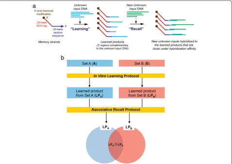 Figure 1 Schematic and principle of a Biological Memory: (a) Schematic of a Biological Memory with in vitro learning and associativerecall and (b) principle of Biological Memory using two sets of genomic populations