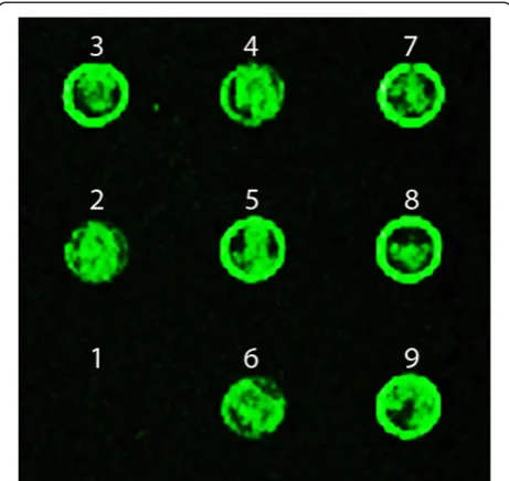 Figure 6 Sensitivity of the microarray-based Memory protocol.Samples with different concentrations of E