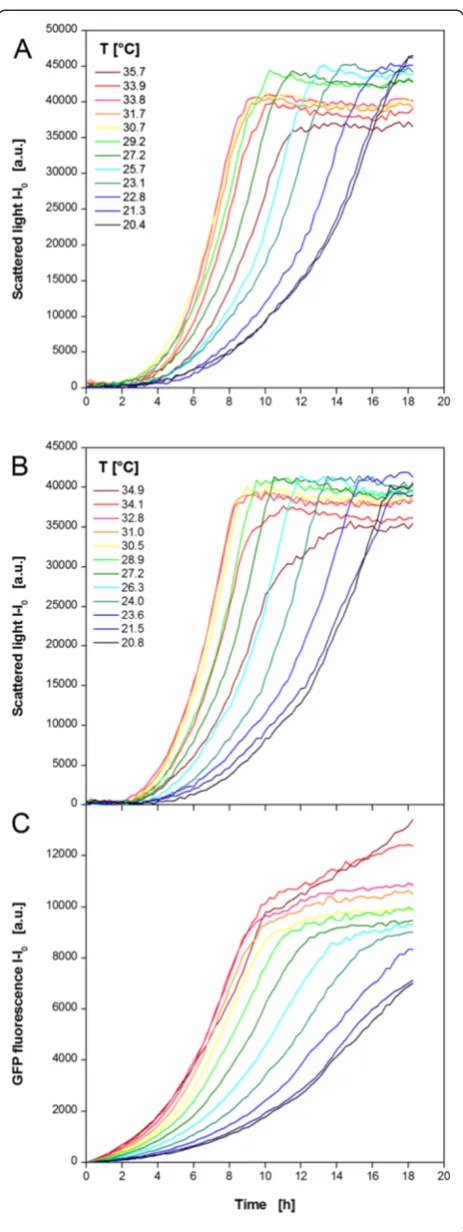 Figure 5 Cultivation of K. lactis GG799 expressing thefluorescent protein GFP applying a temperature profile in aMTP