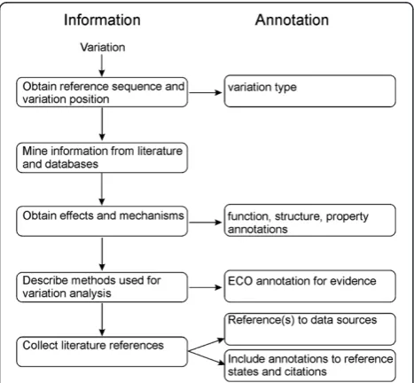 Figure 3 Flowchart for annotation with VariO. All existinginformation for the variation should be available when startingannotation