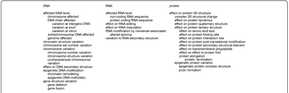 Figure 4 Organization of major structure terms at different levels. Some sublevels are indicated.