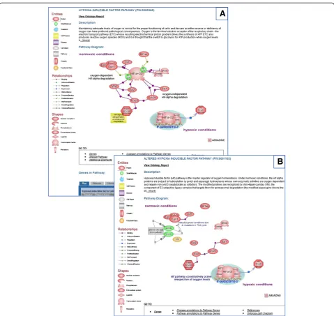 Figure 5 Hypoxia inducible factor pathway. A. The normal functioning of the ‘hypoxia inducible factor pathway’