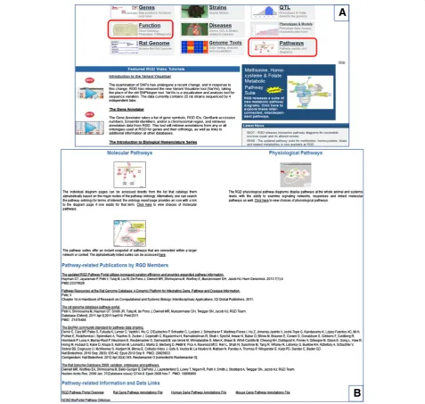 Figure 3 Pathway portal data access. A. Rat Genome Database homepage with the main entry points to its content; the “Pathways” and“Function” entry points described in the text, are circled